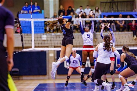 RSEQ 2025 - Volleyball F - Université de Montréal (3) vs (0) ETS