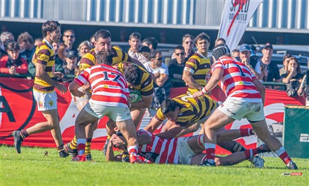 URBA 2025 - Top 12 - 3ra fecha - Sup -  Alumni (19) vs (35) Belgrano Athletic