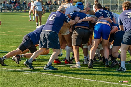 RQ 2025 - LPR3 M - Montréal Phénix Rugby (42) vs (5) Sainte-Anne-De-Bellevue RFC - Match