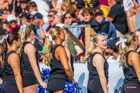RSEQ 2025 - Football Universitaire - Carabins vs Stingers - Ambiance & Cheerleading