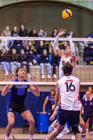 RSEQ 2025 - Volleyball M - Université de Montréal (3) vs (0) UNB