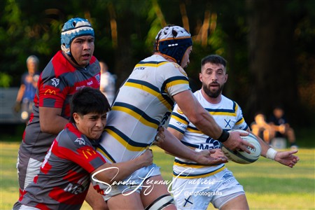 URT 2025 - Lince Rugby Club (12) vs (29)Tucuman Lawn Tennis Club