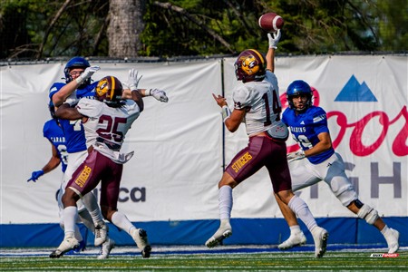 RSEQ 2025 - Football Universitaire - Carabins de Montréal (41) vs (14) Stingers de Concordia - Match