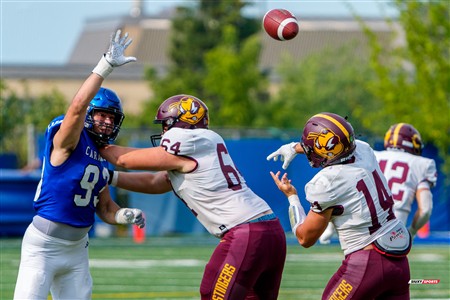 RSEQ 2025 - Football Universitaire - Carabins de Montréal (41) vs (14) Stingers de Concordia - Match