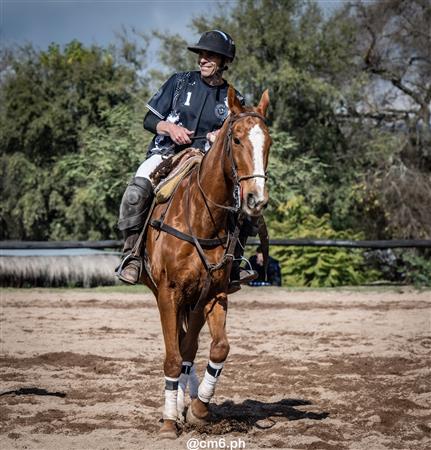 Torneo Nacional de Pato dia de la Independencia Argentina