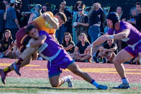 RSEQ 2025 - Rugby M - Concordia vs Bishop's