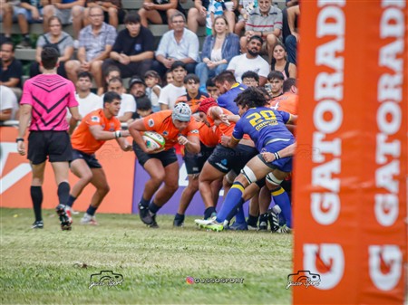 SRA 2025 - Fecha 1 - Tarucas (45) vs (6) Cobras (Reel 2)