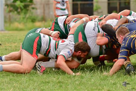 RQ 2025 - SL M - Town of Mount-Royal vs Rugby Club de Montréal