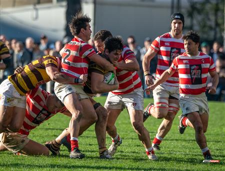 URBA 2025 - Top 12 Sup - Belgrano Athletic (35) vs (17) Asociacion Alumni