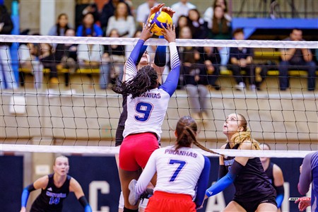 RSEQ 2025 - Volleyball F - Université de Montréal (3) vs (0) ETS