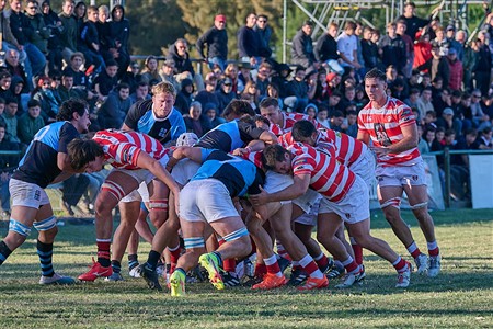 URBA 2025 - Top 12 - 1ra fecha -  Alumni (34) vs (26) CUBA