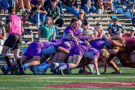 RSEQ 2025 - Rugby M - Concordia vs Bishop's