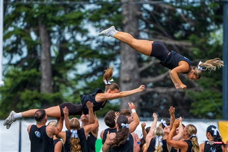 RSEQ 2025 - Football Universitaire - Carabins vs Stingers - Ambiance & Cheerleading