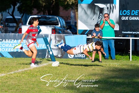 URT 2025 - Lince Rugby Club (12) vs (29)Tucuman Lawn Tennis Club