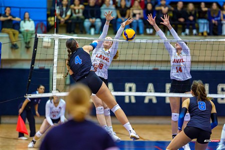 RSEQ 2025 - Volleyball F Finale 1 - Université de Montréal (3) vs (1) Université Laval