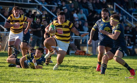 URBA 2025 - Top 12 - 1ra fecha -  La Plata (28) vs (44) Belgrano Athletic