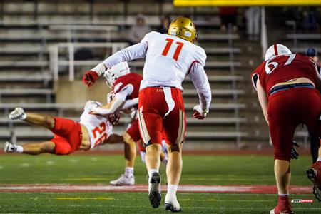 RSEQ 2025 - Football - McGill vs Laval