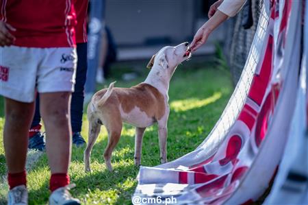 URT 2025 - Universitario vs Tarcos