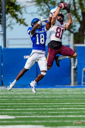 RSEQ 2025 - Football Universitaire - Carabins de Montréal (41) vs (14) Stingers de Concordia - Match