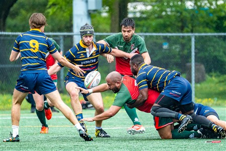 RQ 2025 - Super Ligue M Réserve - Rugby Club de Montréal (24) vs (8) Town Mount Royal -  Reel Juan