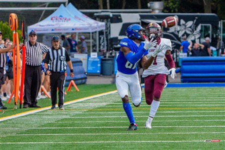RSEQ 2025 - Football Universitaire - Carabins de Montréal (41) vs (14) Stingers de Concordia - Match