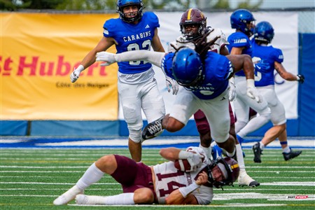 RSEQ 2025 - Football Universitaire - Carabins de Montréal (41) vs (14) Stingers de Concordia - Match