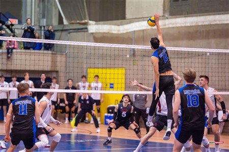 RSEQ 2025 - Volleyball M - Université de Montréal (3) vs (0) UNB
