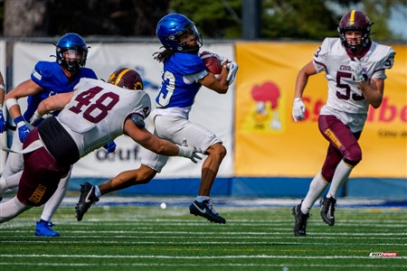 RSEQ 2025 - Football Universitaire - Carabins de Montréal (41) vs (14) Stingers de Concordia - Match