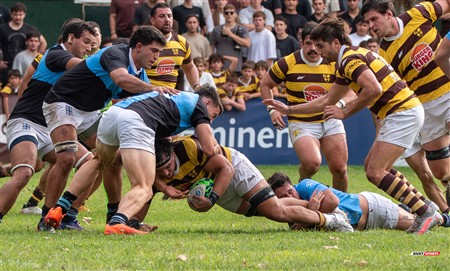 URBA 2025 - Top 12 - 2da fecha -  Belgrano Athletic (24) vs (20) CUBA