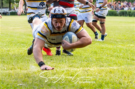 URT 2025 - Lince Rugby Club (12) vs (29)Tucuman Lawn Tennis Club