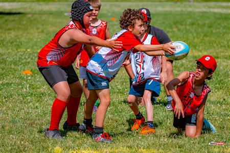 2025 Stade Toulousain - Academie Rugby - Dragons NDG