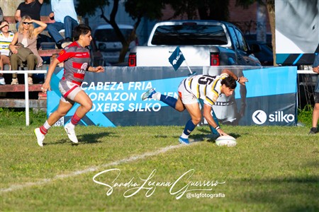 URT 2025 - Lince Rugby Club (12) vs (29)Tucuman Lawn Tennis Club