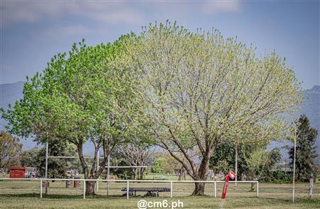 URT 2025 - M 15 - Jockey Club vs Universitario