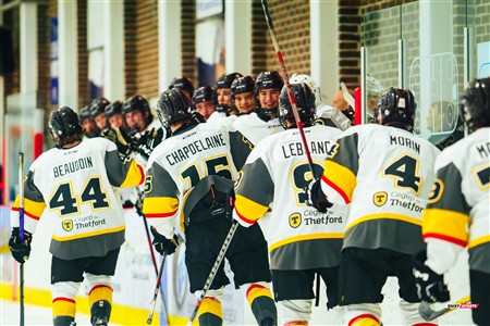 RSEQ 2025 - Hockey M - André Laurendeau (5) vs (4) Cégep de Thetford