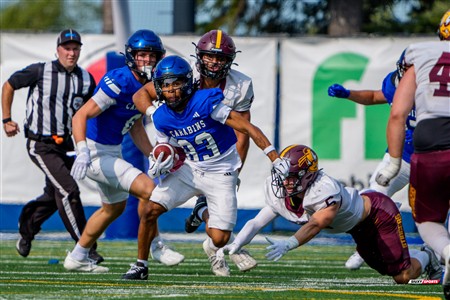 RSEQ 2025 - Football Universitaire - Carabins de Montréal (41) vs (14) Stingers de Concordia - Match