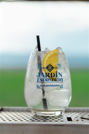 TLCF 2024 - Futbol - 13a Fecha Torneo Clausura 2024 B