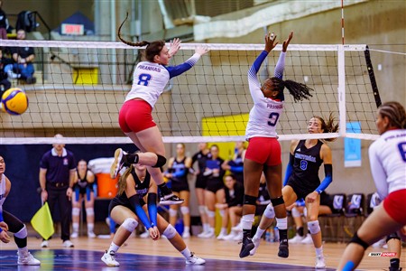RSEQ 2025 - Volleyball F - Université de Montréal (3) vs (0) ETS