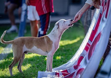 URT 2025 - Universitario vs Tarcos