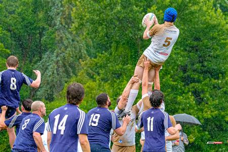 RQ 2025 - LP3M - Montréal Phenix Rugby vs Sainte-Anne-de-Bellevue RFC