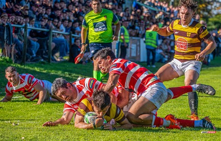 URBA 2025 - Top 12 - 3ra fecha - Sup -  Alumni (19) vs (35) Belgrano Athletic