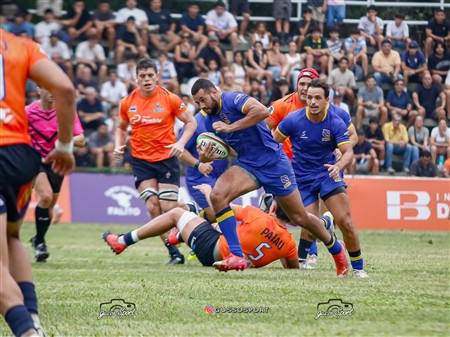 SRA 2025 - Fecha 1 - Tarucas (45) vs (6) Cobras (Reel 2)