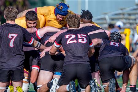 RSEQ 2025 - Rugby M - Concordia vs Carleton