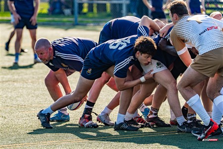 RQ 2025 - LPR3 M - Montréal Phénix Rugby (42) vs (5) Sainte-Anne-De-Bellevue RFC - Match