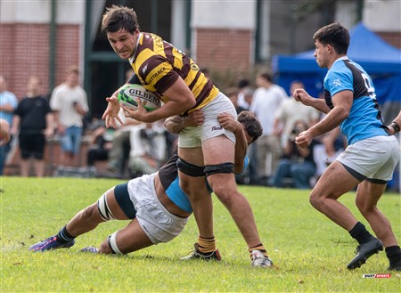 URBA 2025 - Top 12 - 2da fecha -  Belgrano Athletic (24) vs (20) CUBA