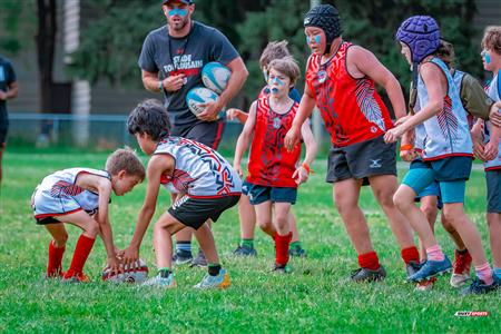 2025 Stade Toulousain - Academie Rugby - Dragons NDG