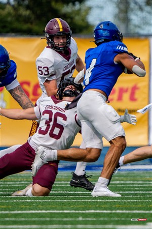 RSEQ 2025 - Football Universitaire - Carabins de Montréal (41) vs (14) Stingers de Concordia - Match