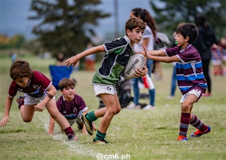 URT 2025 - Infantiles - Tucuman RC vs Jockey Club