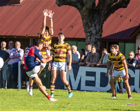 URBA 2025 - Top 12 - 5ta fecha - Belgrano Athletic (52) vs (17) San Luis