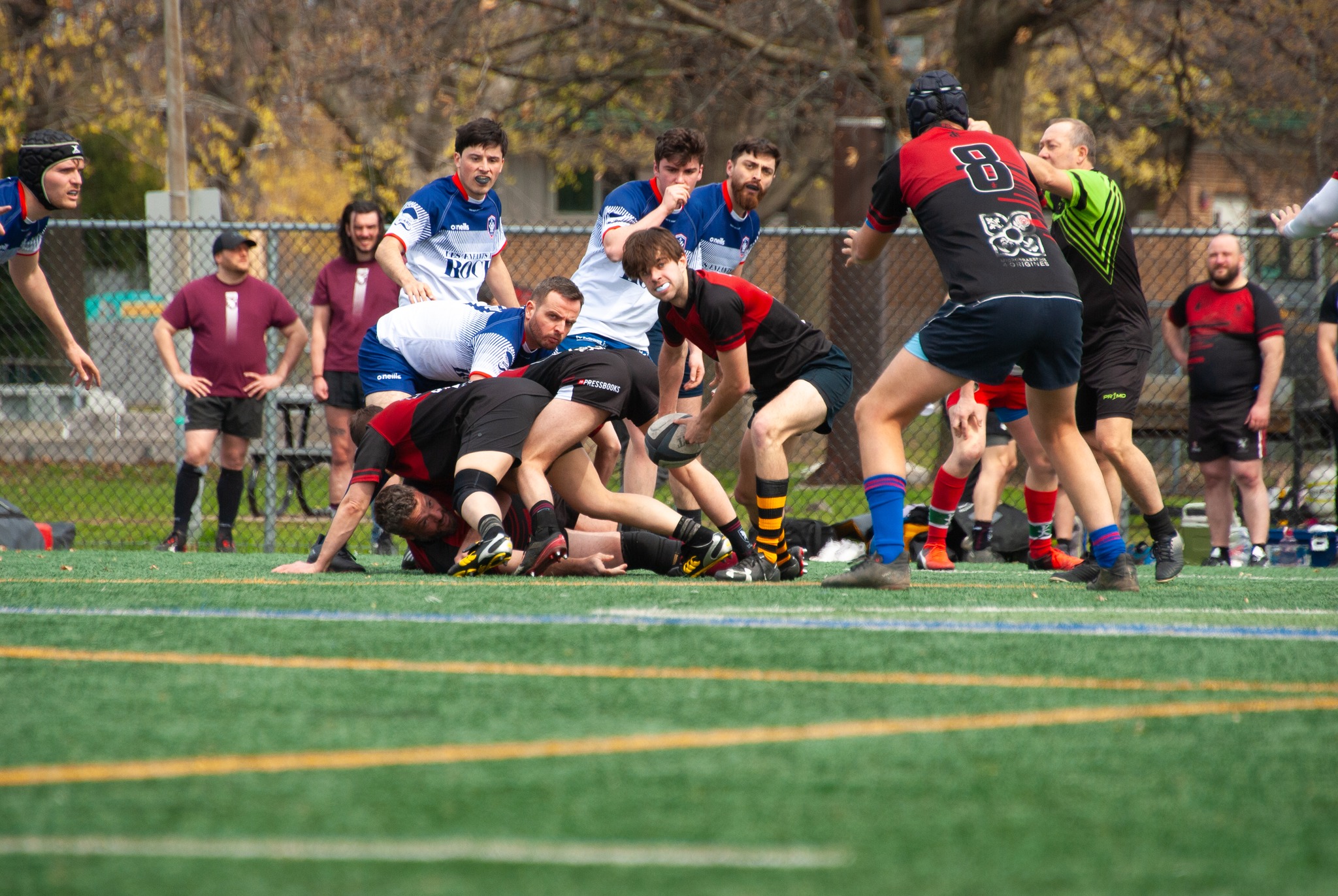  Rugby Club de Montréal - Westmount Rugby Club - Rugby - RQ 2024 - LPR2 - RCMXV vs Westmount 2 (#RQ24LP2RCMXW4) Photo by: Coraline Brochet | Siuxy Sports 2024-04-27