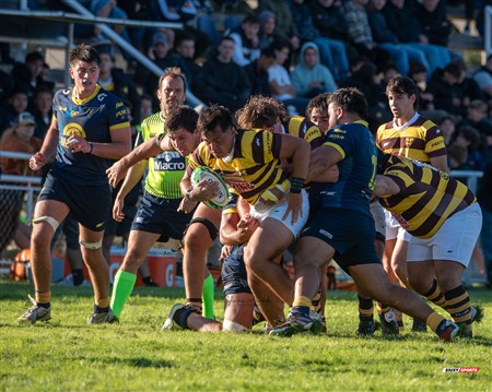 URBA 2025 - Top 12 - 1ra fecha -  La Plata (28) vs (44) Belgrano Athletic